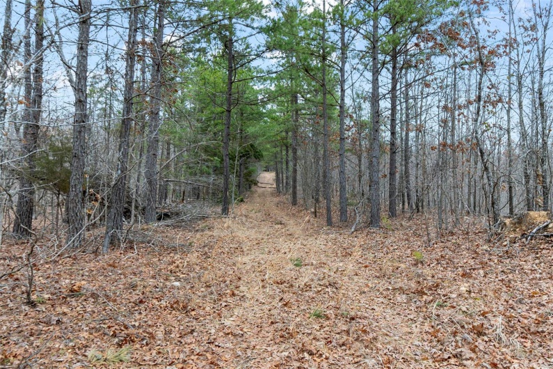 307 Hidden Valley, Annapolis, Missouri 63620, ,Farm,For Sale,Hidden Valley,MAR25028130