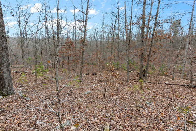 307 Hidden Valley, Annapolis, Missouri 63620, ,Farm,For Sale,Hidden Valley,MAR25028130