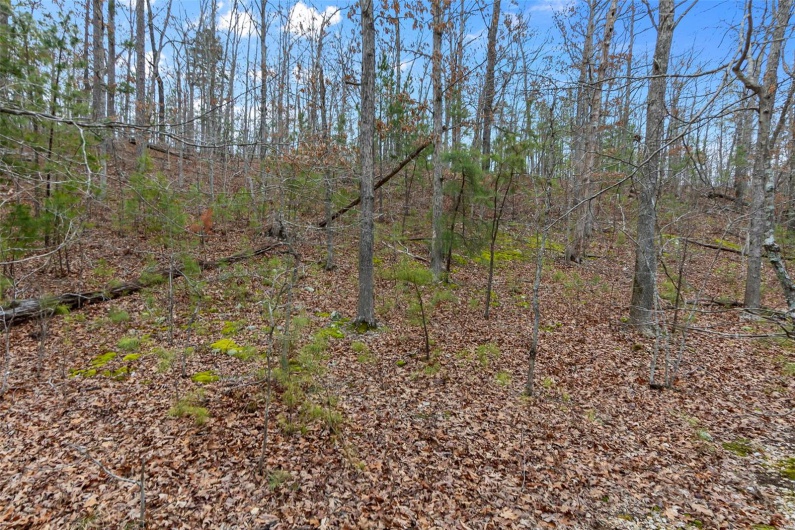 307 Hidden Valley, Annapolis, Missouri 63620, ,Farm,For Sale,Hidden Valley,MAR25028130