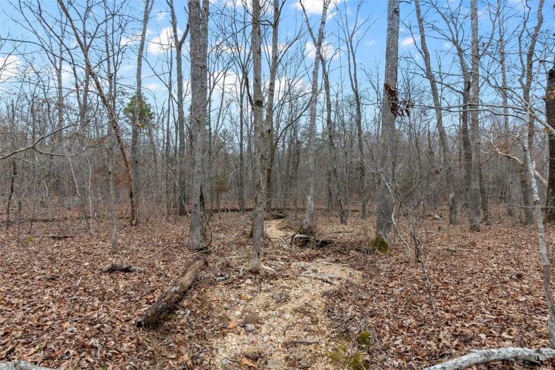307 Hidden Valley, Annapolis, Missouri 63620, ,Farm,For Sale,Hidden Valley,MAR25028130