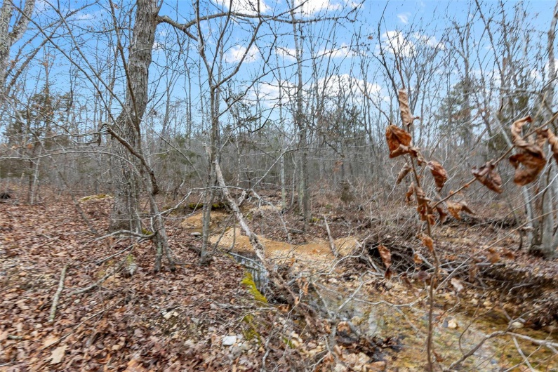 307 Hidden Valley, Annapolis, Missouri 63620, ,Farm,For Sale,Hidden Valley,MAR25028130