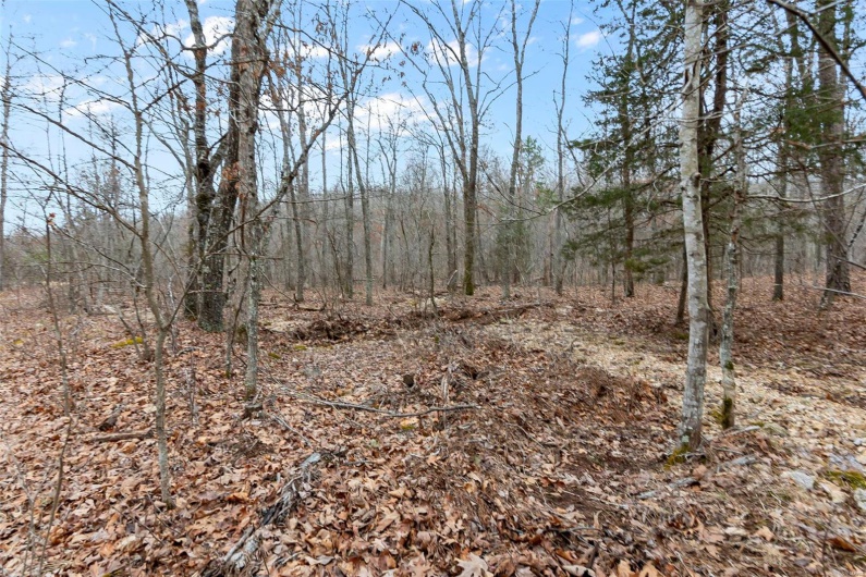 307 Hidden Valley, Annapolis, Missouri 63620, ,Farm,For Sale,Hidden Valley,MAR25028130