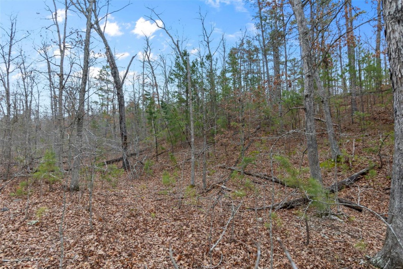 307 Hidden Valley, Annapolis, Missouri 63620, ,Farm,For Sale,Hidden Valley,MAR25028130