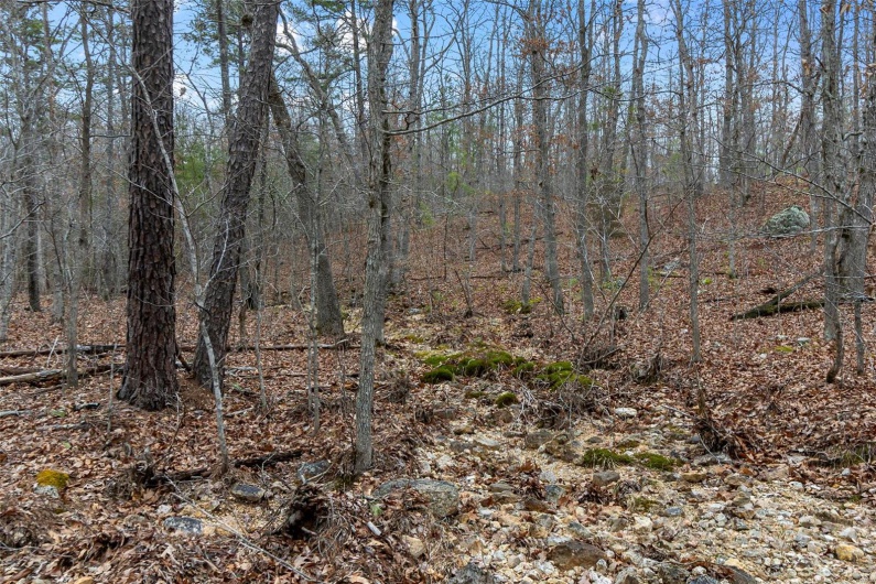 307 Hidden Valley, Annapolis, Missouri 63620, ,Farm,For Sale,Hidden Valley,MAR25028130