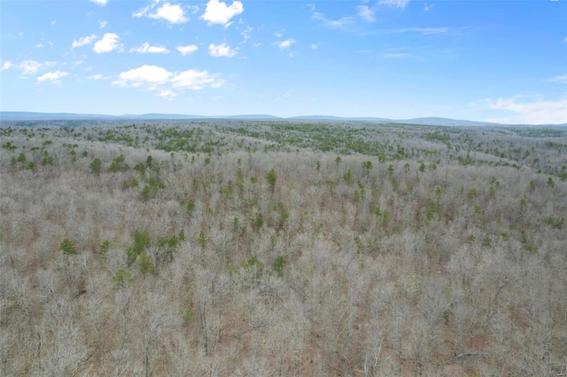 307 Hidden Valley, Annapolis, Missouri 63620, ,Farm,For Sale,Hidden Valley,MAR25028130