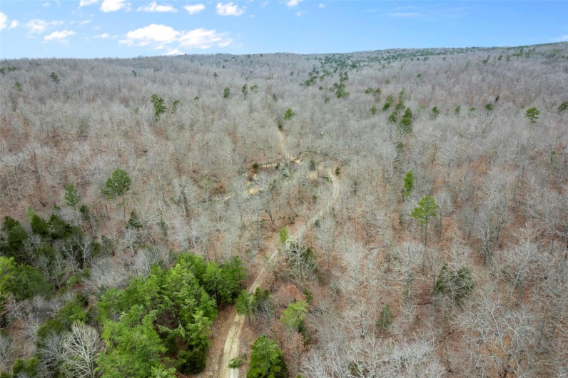 307 Hidden Valley, Annapolis, Missouri 63620, ,Farm,For Sale,Hidden Valley,MAR25028130