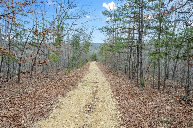 307 Hidden Valley, Annapolis, Missouri 63620, ,Farm,For Sale,Hidden Valley,MAR25028130