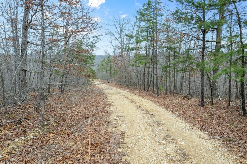 307 Hidden Valley, Annapolis, Missouri 63620, ,Farm,For Sale,Hidden Valley,MAR25028130