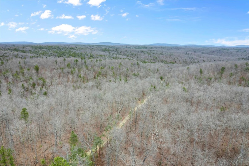 307 Hidden Valley, Annapolis, Missouri 63620, ,Farm,For Sale,Hidden Valley,MAR25028130