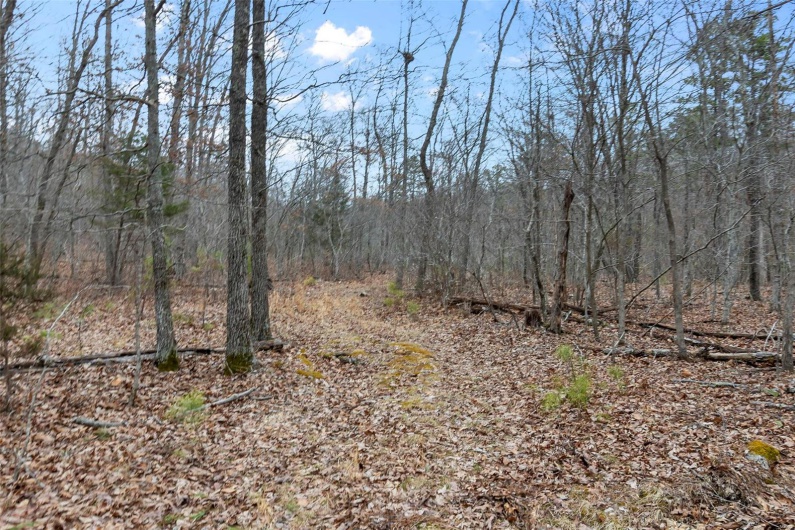 307 Hidden Valley, Annapolis, Missouri 63620, ,Farm,For Sale,Hidden Valley,MAR25028130