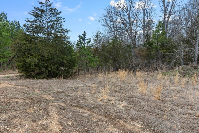 307 Hidden Valley, Annapolis, Missouri 63620, ,Farm,For Sale,Hidden Valley,MAR25028130