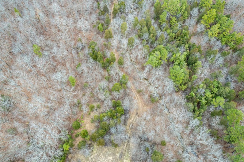 307 Hidden Valley, Annapolis, Missouri 63620, ,Farm,For Sale,Hidden Valley,MAR25028130