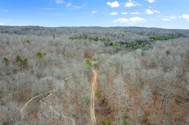 307 Hidden Valley, Annapolis, Missouri 63620, ,Farm,For Sale,Hidden Valley,MAR25028130