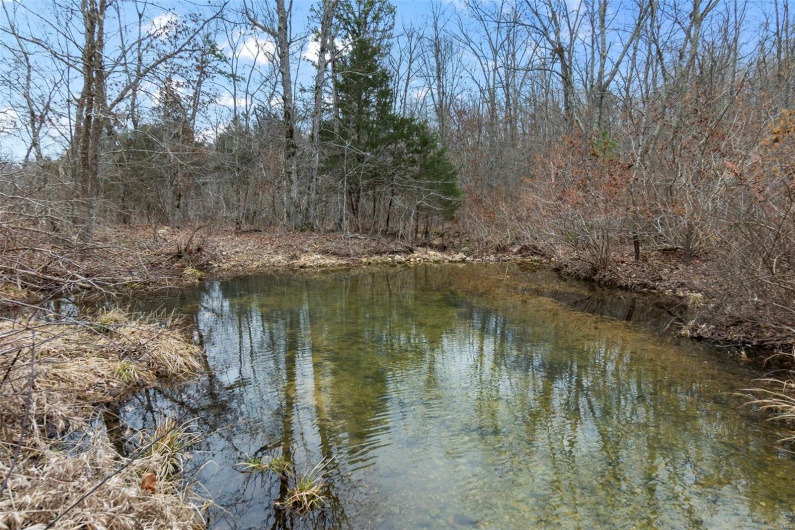 307 Hidden Valley, Annapolis, Missouri 63620, ,Farm,For Sale,Hidden Valley,MAR25028130