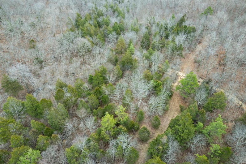 307 Hidden Valley, Annapolis, Missouri 63620, ,Farm,For Sale,Hidden Valley,MAR25028130