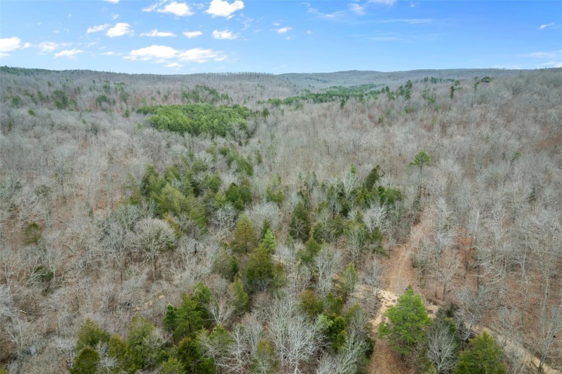 307 Hidden Valley, Annapolis, Missouri 63620, ,Farm,For Sale,Hidden Valley,MAR25028130
