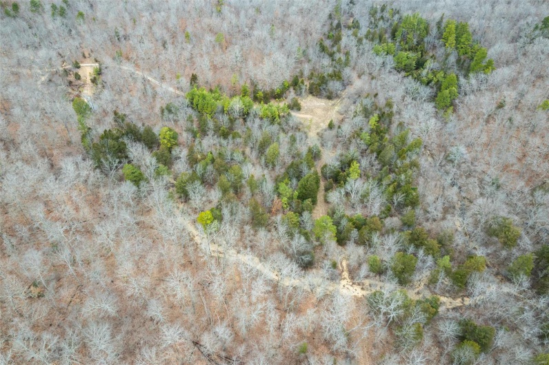307 Hidden Valley, Annapolis, Missouri 63620, ,Farm,For Sale,Hidden Valley,MAR25028130