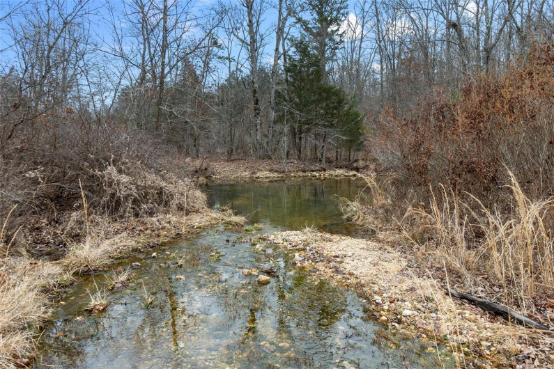 307 Hidden Valley, Annapolis, Missouri 63620, ,Farm,For Sale,Hidden Valley,MAR25028130