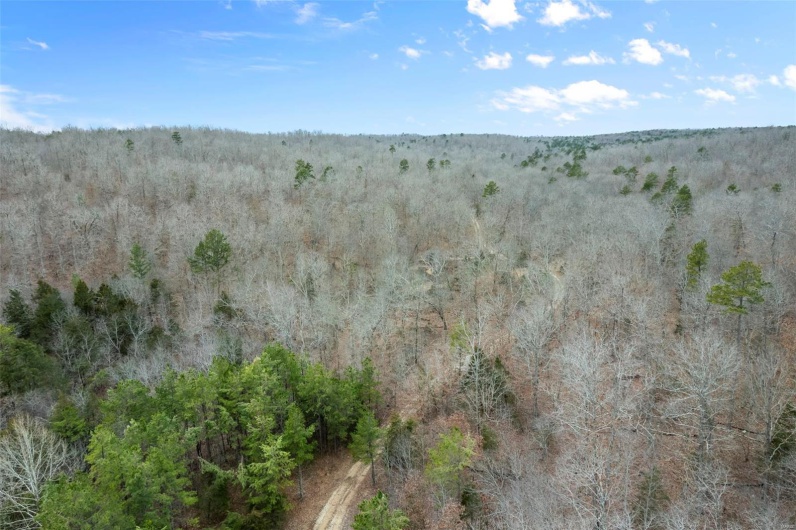 307 Hidden Valley, Annapolis, Missouri 63620, ,Farm,For Sale,Hidden Valley,MAR25028130