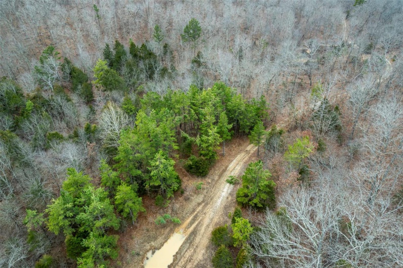 307 Hidden Valley, Annapolis, Missouri 63620, ,Farm,For Sale,Hidden Valley,MAR25028130