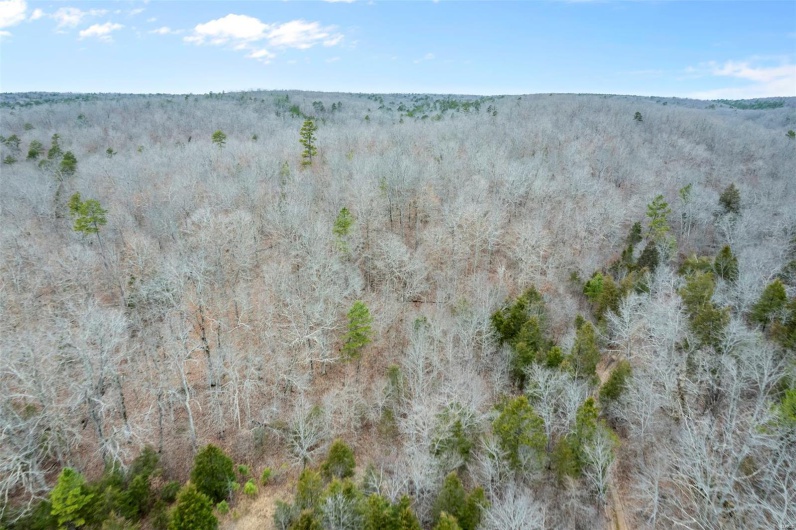 307 Hidden Valley, Annapolis, Missouri 63620, ,Farm,For Sale,Hidden Valley,MAR25028130