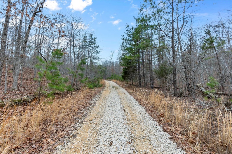 307 Hidden Valley, Annapolis, Missouri 63620, ,Farm,For Sale,Hidden Valley,MAR25028130