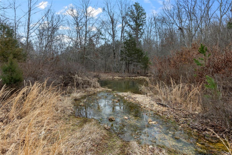 307 Hidden Valley, Annapolis, Missouri 63620, ,Farm,For Sale,Hidden Valley,MAR25028130