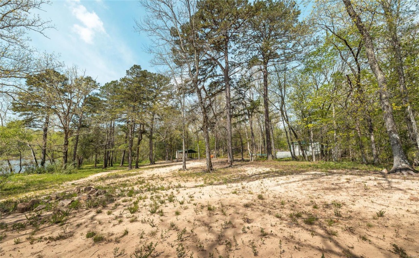 View of yard with a forest view