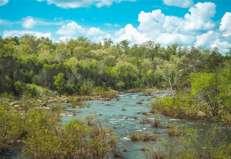 Property view of water with a view of trees