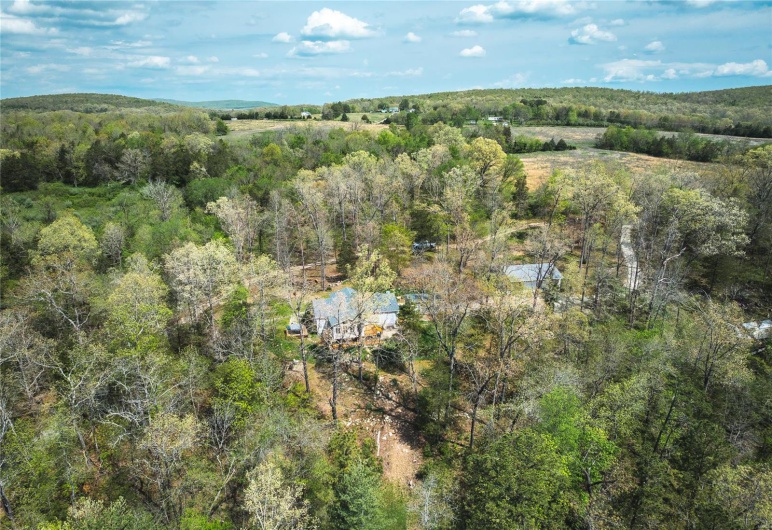 Bird's eye view with a forest view