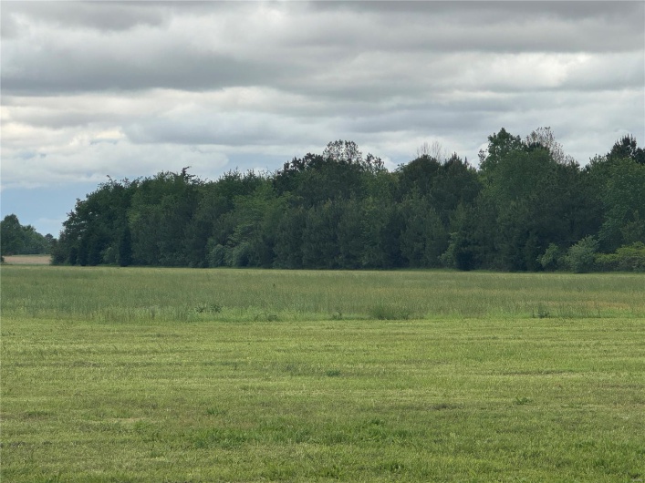 View of local wilderness featuring a rural view