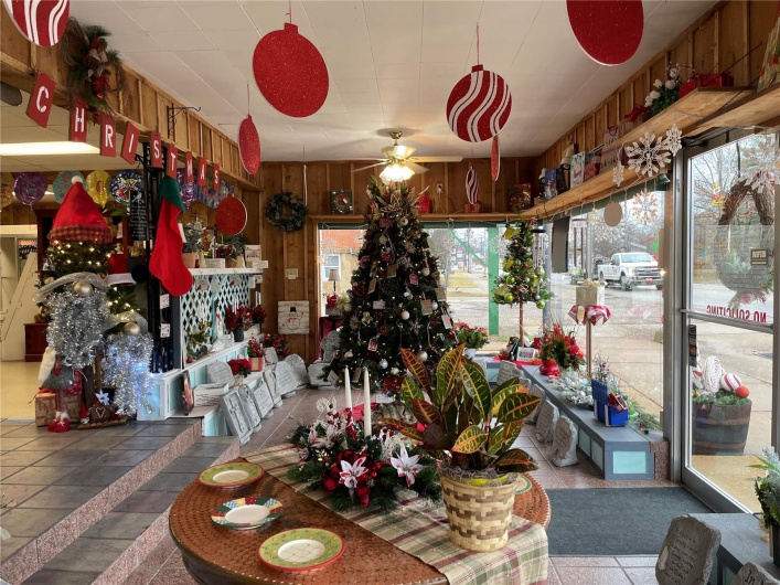 227 N. Main St., Piedmont, Missouri 63957, ,Commercial Sale,For Sale,N. Main St.,MAR24002923