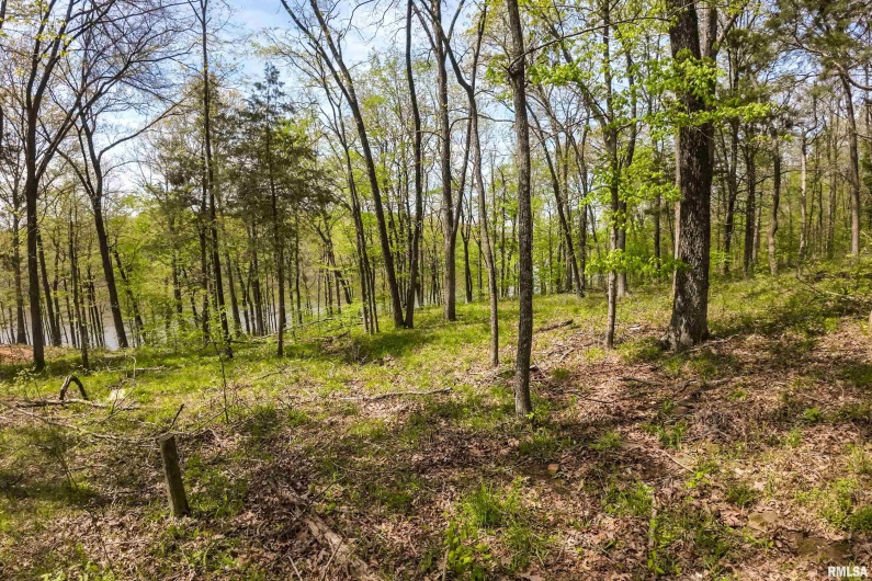 Lot 142 & 143 CHERRY Point, Goreville, Illinois 62939, 0 , 0 ,0,Land,For Sale,CHERRY,0,RMAEB457732