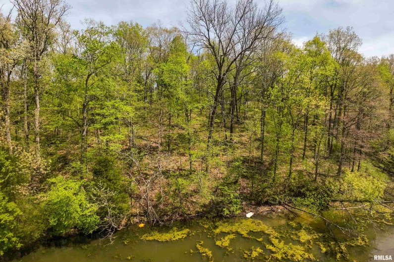 Lot 142 & 143 CHERRY Point, Goreville, Illinois 62939, 0 , 0 ,0,Land,For Sale,CHERRY,0,RMAEB457732