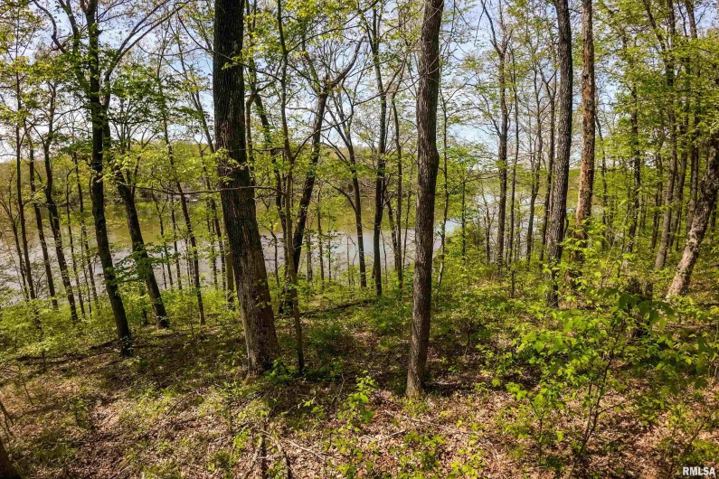 Lot 142 & 143 CHERRY Point, Goreville, Illinois 62939, 0 , 0 ,0,Land,For Sale,CHERRY,0,RMAEB457732