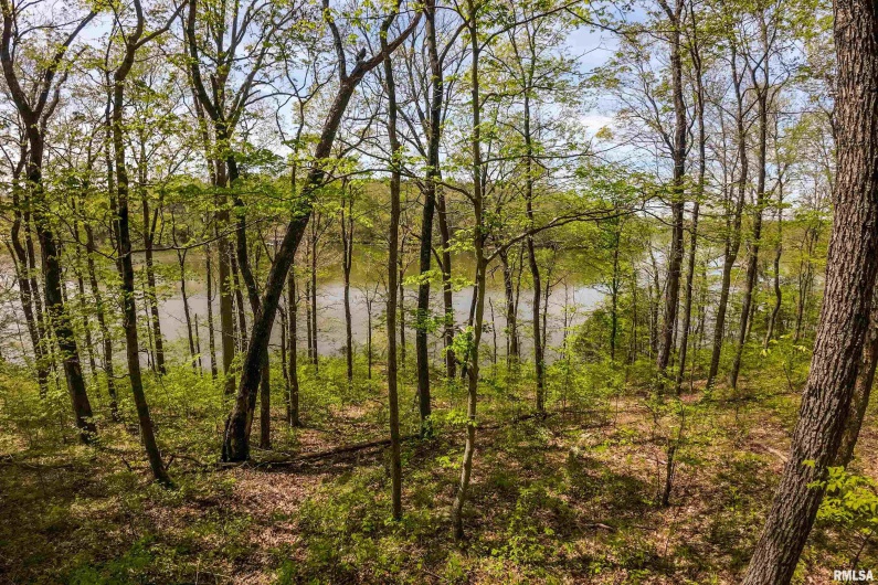Lot 142 & 143 CHERRY Point, Goreville, Illinois 62939, 0 , 0 ,0,Land,For Sale,CHERRY,0,RMAEB457732