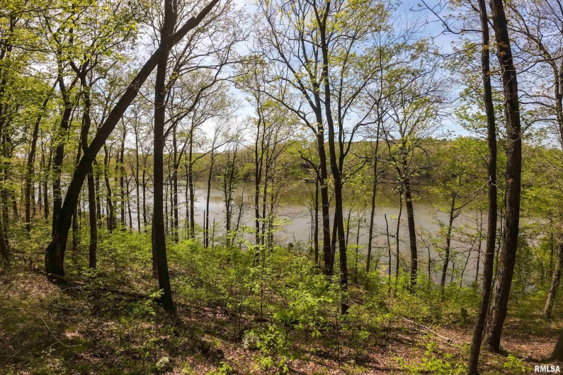 Lot 142 & 143 CHERRY Point, Goreville, Illinois 62939, 0 , 0 ,0,Land,For Sale,CHERRY,0,RMAEB457732