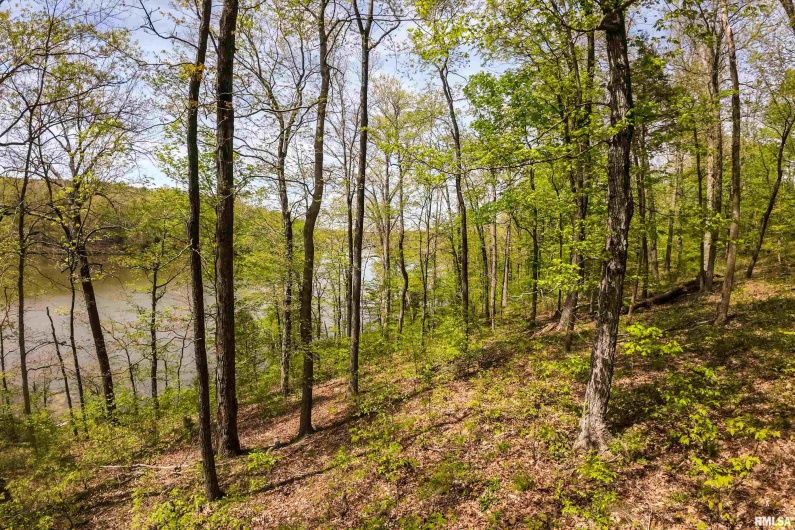 Lot 142 & 143 CHERRY Point, Goreville, Illinois 62939, 0 , 0 ,0,Land,For Sale,CHERRY,0,RMAEB457732