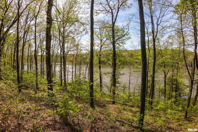 Lot 142 & 143 CHERRY Point, Goreville, Illinois 62939, 0 , 0 ,0,Land,For Sale,CHERRY,0,RMAEB457732