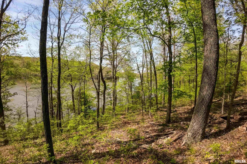 Lot 142 & 143 CHERRY Point, Goreville, Illinois 62939, 0 , 0 ,0,Land,For Sale,CHERRY,0,RMAEB457732