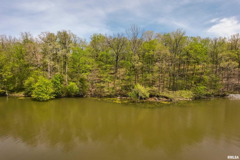 Lot 142 & 143 CHERRY Point, Goreville, Illinois 62939, 0 , 0 ,0,Land,For Sale,CHERRY,0,RMAEB457732