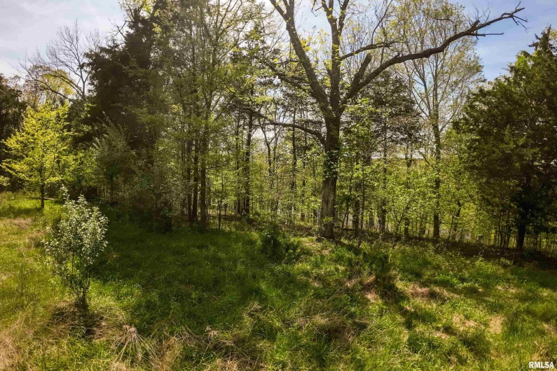 Lot 142 & 143 CHERRY Point, Goreville, Illinois 62939, 0 , 0 ,0,Land,For Sale,CHERRY,0,RMAEB457732