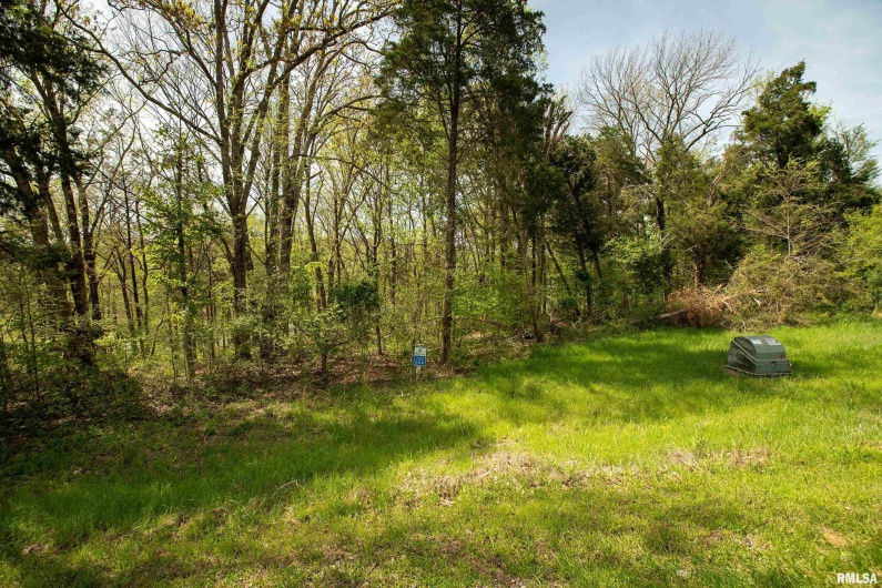 Lot 142 & 143 CHERRY Point, Goreville, Illinois 62939, 0 , 0 ,0,Land,For Sale,CHERRY,0,RMAEB457732