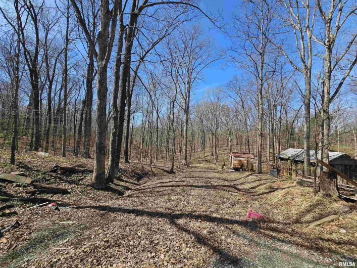 77 Violet Valley Road, Makanda, Illinois 62958, 4 Bedrooms Bedrooms, 0 ,2 BathroomsBathrooms,Manufactured In Park,For Sale,Violet Valley,0,RMAEB457735