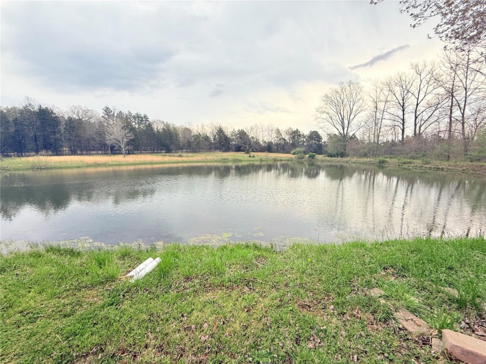 Property view of water featuring a view of trees