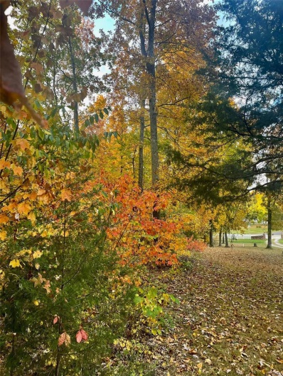 View of property's community