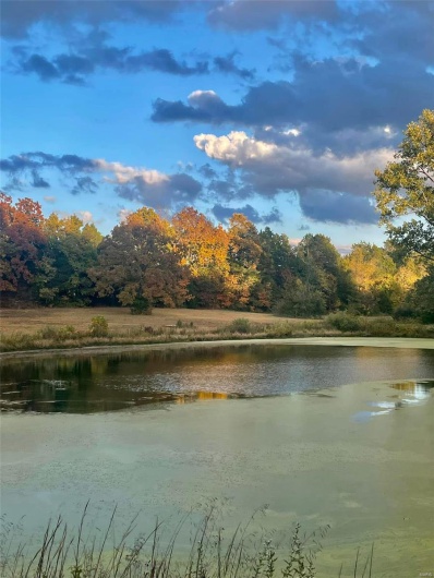 Property view of water with a wooded view