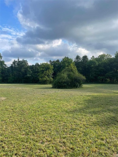 View of yard featuring a wooded view