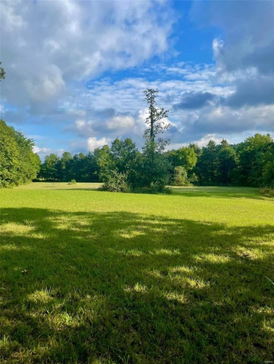 View of yard featuring a rural view and a view of trees