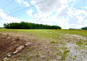 000 Shawneetown New Haven Road, Elizabethtown, Illinois 62931, 0 , 0 ,0,Land,For Sale,Shawneetown New Haven,0,RMAEB457750